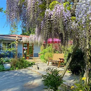 wisteria-guest-house.richmond-hotels.com/