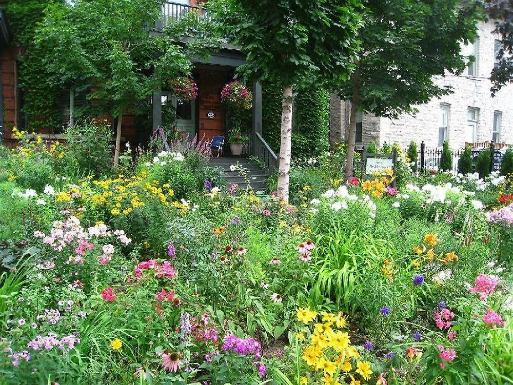 Auberge King Edward Bed And Breakfast Ottawa Bed & Breakfast